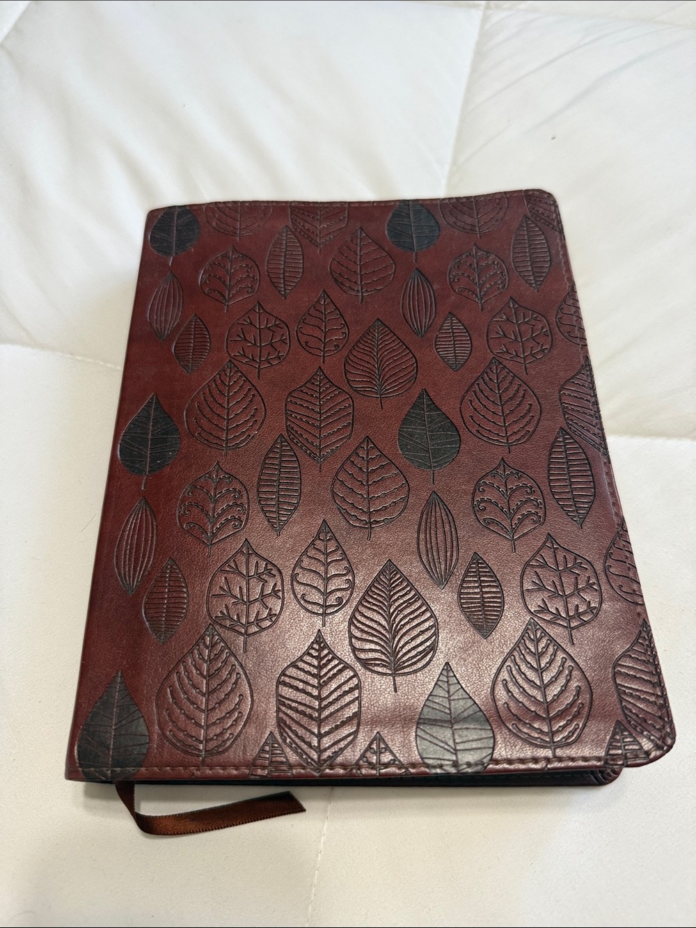 EVS Single Column Journaling Bible